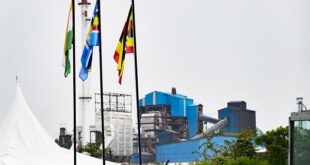 Factory fined Shs75 million for polluting wetland in Luwero