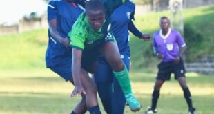 Finance Trust Women Elite LeagueBoni Consili See Nothing in Police