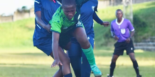 Finance Trust Women Elite LeagueBoni Consili See Nothing in Police