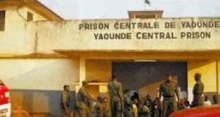 Five men freed after 4 months in prison for homosexuality