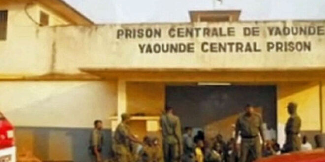 Five men freed after 4 months in prison for homosexuality