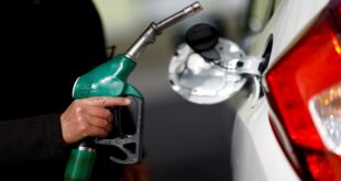 Govt slams fuel shortage rumours urges against panic buying