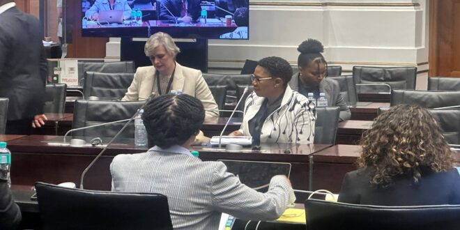 Deputy National Police Commissioner Tebello Mosikili testifies before Parliament’s Ad Hoc in Cape Town on March 3, 2026.