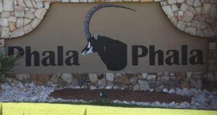 IPID report on the Phala Phala farm robbery has been