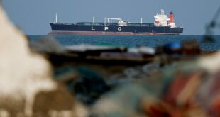 India seeks passage for more vessels stranded around Strait of