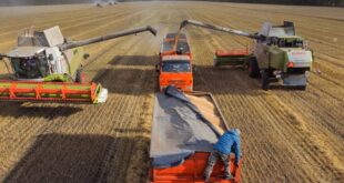 Iran war impact on fertiliser supplies prices and food security