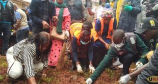KCCA embarks on fresh City greening after eviction of street
