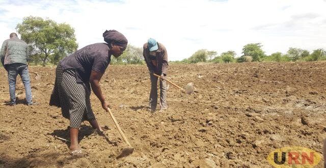 Kaberamaido farmers advised to delay planting due to heavy rains