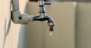 Knysnas deepening water crisis needs to be managed properly DA