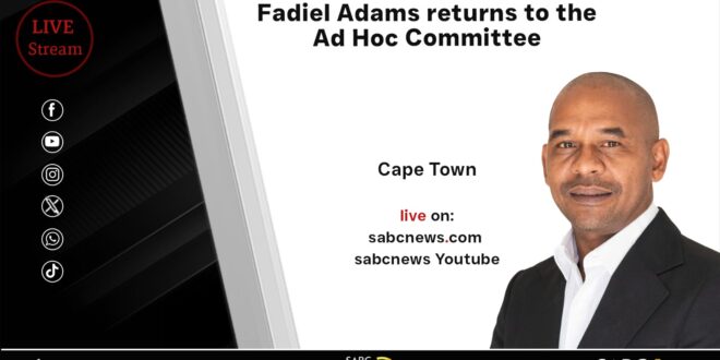 LIVE Fadiel Adams returns to the Ad Hoc Committee