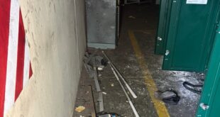 MEC Buthelezi condemns destruction of electricity infrastructure