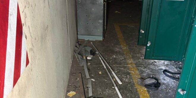 MEC Buthelezi condemns destruction of electricity infrastructure