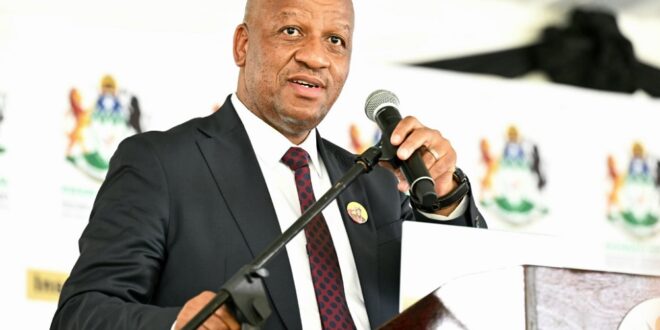 KwaZulu-Natal Premier Thami Ntuli addresses a crowd at an event.