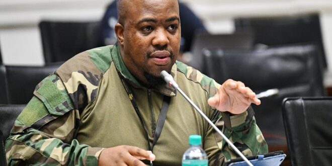 The uMkhonto weSizwe Party (MKP) Member Sibonelo Nomvalo at Parliament's Ad Hoc Committee on March 3, 2026.