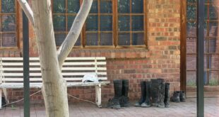 Miners’ boots outside Ekapa Minerals Mine in Kimberley, Northern Cape on February 28, 2026.