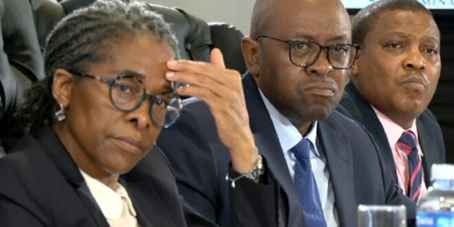 Madlanga Commissions Witness G to testify virtually and off screen