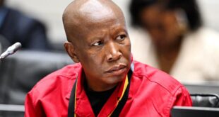 Malema pours cold water on EFF–MK unity
