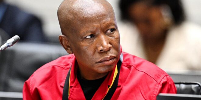 Malema pours cold water on EFF–MK unity
