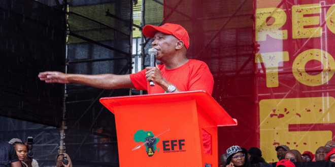 Malema rejects Mkhwanazis corruption allegations