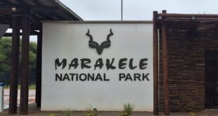 Heightened security and conservation efforts help protect wildlife at Marakele National Park