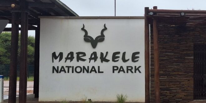 Heightened security and conservation efforts help protect wildlife at Marakele National Park