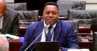 National Police Commissioner Fanie Masemola appears before the Ad Hoc Committee on 17 March 2026.