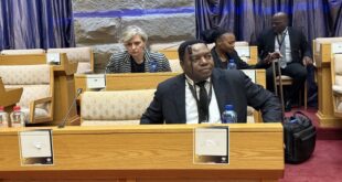 National Police Commissioner General Fannie Masemola gives evidence before Parliament’s Ad Hoc Committee on October 9, 2025.