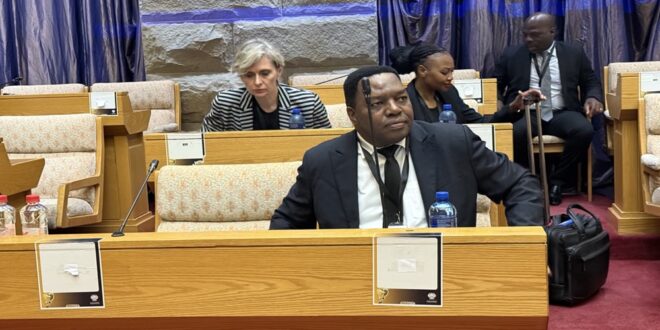 National Police Commissioner General Fannie Masemola gives evidence before Parliament’s Ad Hoc Committee on October 9, 2025.