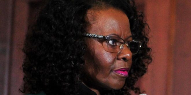 Mbekis advocate argues his case of bias against Khampepe