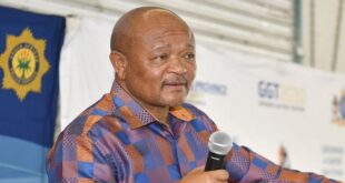 Mchunu did not consult me about disbandment of PKTT Ramaphosa