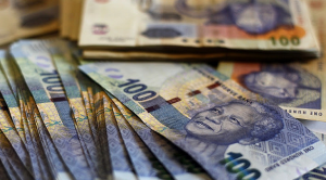 Mixed reactions to Mpumalangas budget