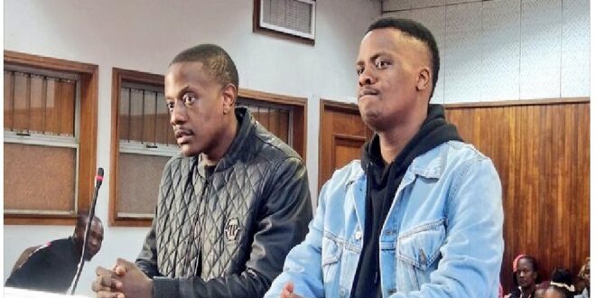 Mugabes son co accused case postponed to next Tuesday