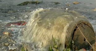 NWU researcher warns of pollution threat to Vaal River aquatic