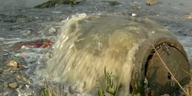 NWU researcher warns of pollution threat to Vaal River aquatic