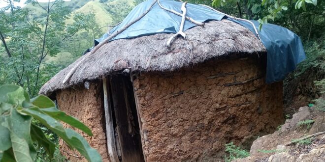 Nkandlas ward 7 residents feel neglected over poor service delivery