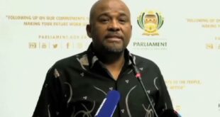 Parliamentary Committee clears Xolile George appointment and pay