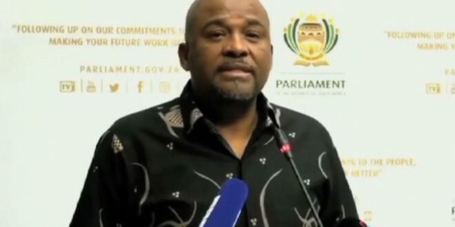 Parliamentary Committee clears Xolile George appointment and pay