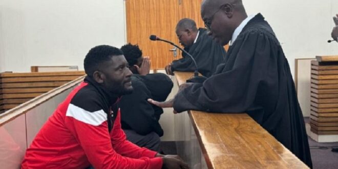 Phala Phala farm theft trial returns to Modimolle court