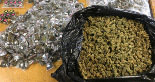 Police arrest 25 year old in Upington dagga worth R400k seized