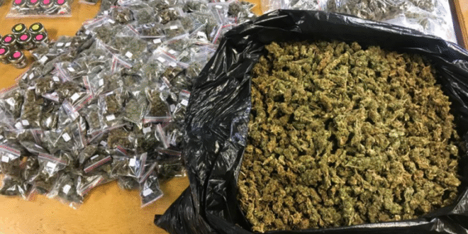 Police arrest 25 year old in Upington dagga worth R400k seized