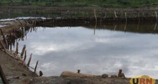 Prolonged rains disrupt salt business in Katwe
