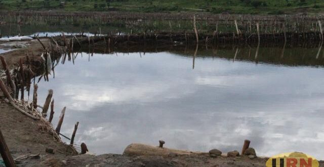 Prolonged rains disrupt salt business in Katwe