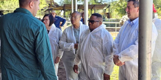 Ramaphosa kinds IMC for Foot and Mouth illness