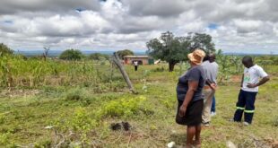Residents of Sigonde near Musina in Limpopo assess the damage caused by the elephants, March 6, 2026.