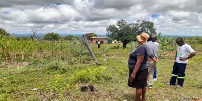 Residents of Sigonde near Musina in Limpopo assess the damage caused by the elephants, March 6, 2026.