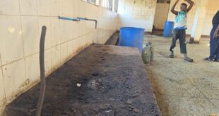 Residents raise concerns over poor sanitation in Lira City abattoir