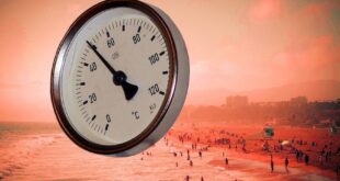 Scores of people flock to Cape Town beaches amid heat