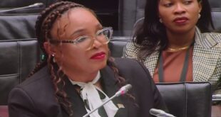 Lieutenant-General Hilda Senthumule testifies before Parliament's Ad Hoc Committee.