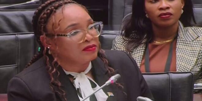 Lieutenant-General Hilda Senthumule testifies before Parliament's Ad Hoc Committee.