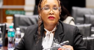 Deputy National Police Commissioner Lieutenant-General Hilda Senthumule testifies before Parliament's Ad Hoc Committee.